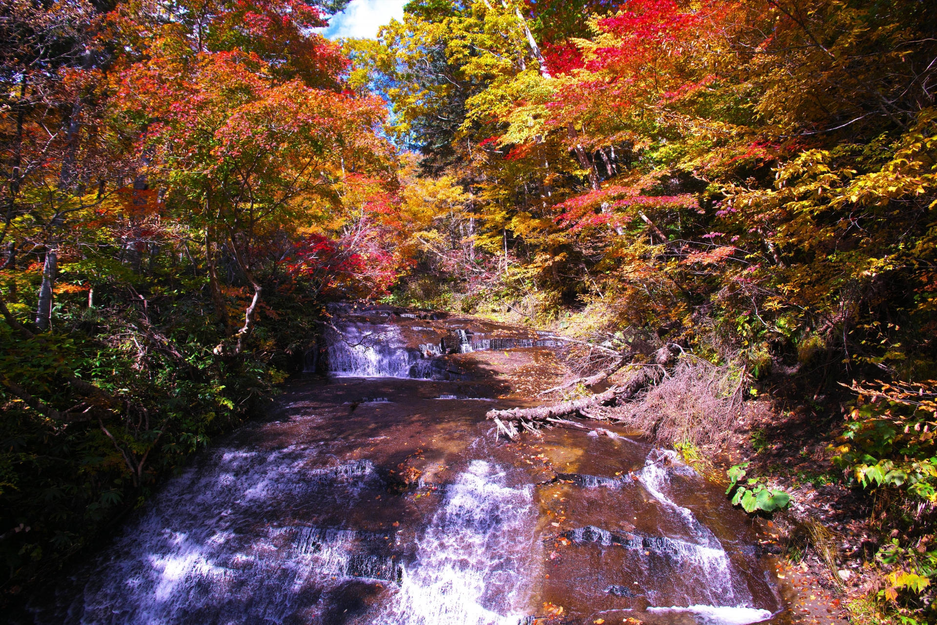 北海道の風景