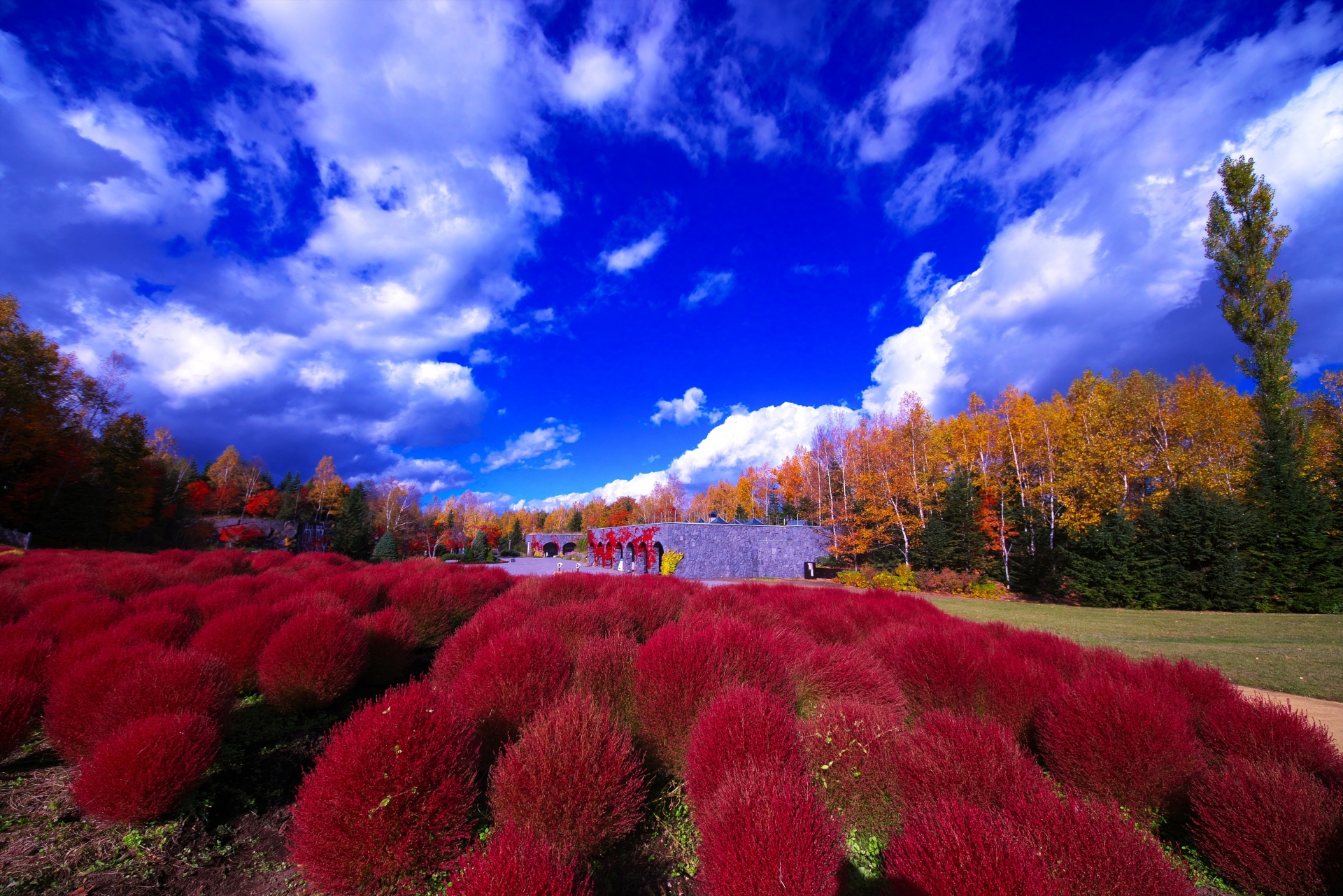 北海道の風景